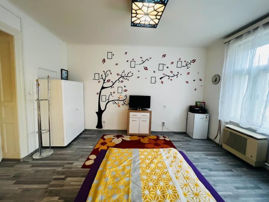 Szeged Apartment Esterno foto